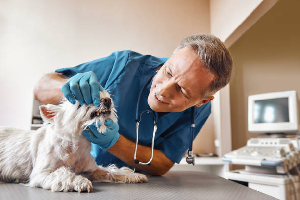 Best Emergency Tooth Extraction  in Litchfield Beach, SC